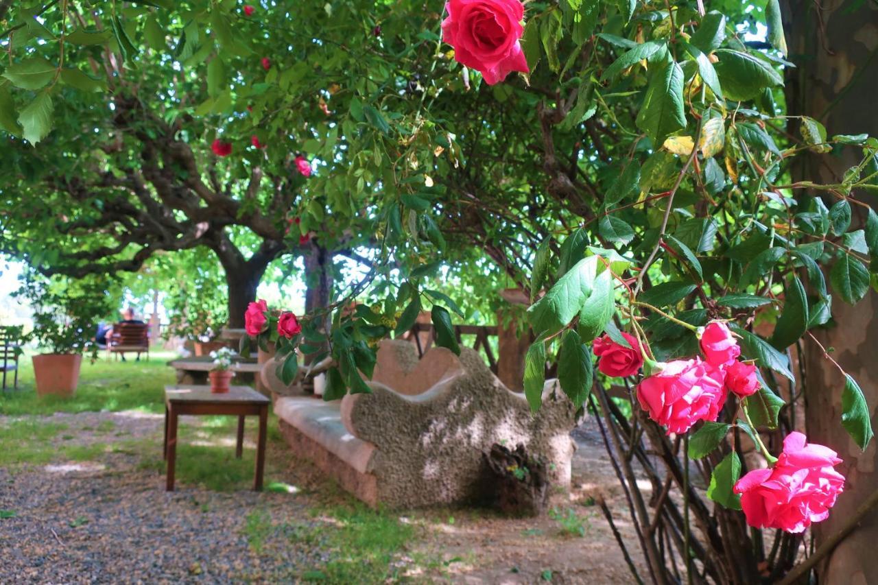 Masia Sagues Poblet Exterior photo